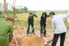 Phát động “Tết trồng cây đời đời nhớ ơn Bác Hồ” Xuân Bính Ngọ 2026