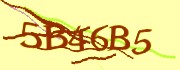 Mã bảo mật