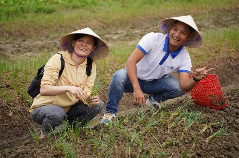 huong tra 11
