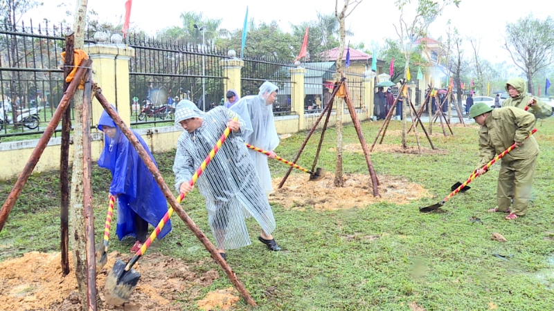 tet trong cay 3
