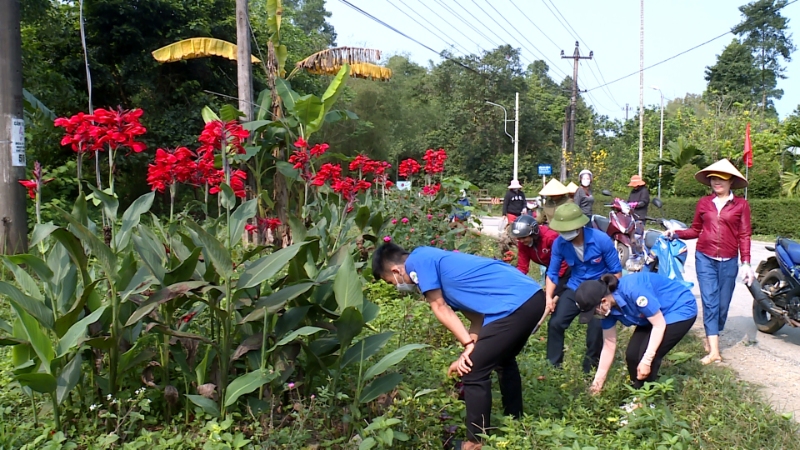 chu nhat xanh huong binh 2