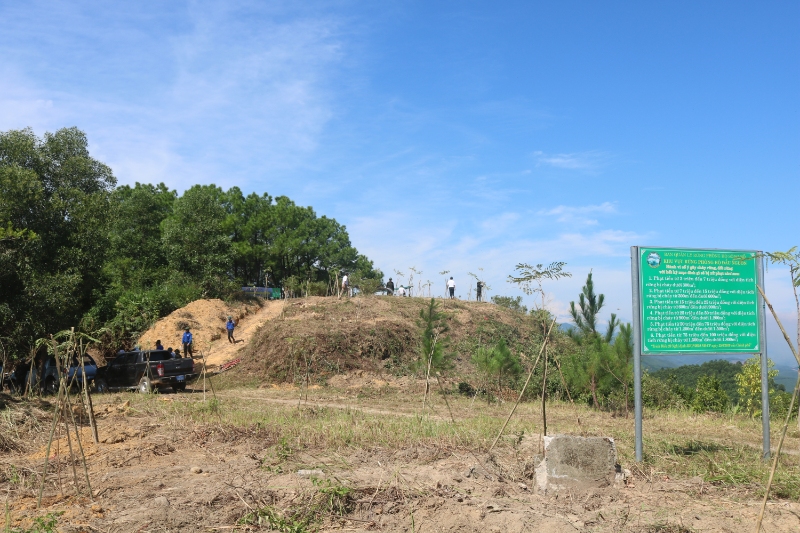he thong cac cay xanh duoc trong moi tai dinh nui hon vuon